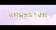 衣服猫大象马成语