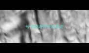 号字成语开头的成语