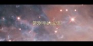 带测字的成语