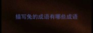 描写兔的成语有哪些成语