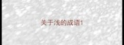 关于浅的成语
