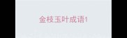 金枝玉叶成语
