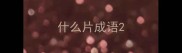 什么片成语