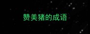 赞美猪的成语