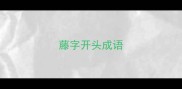 藤字开头成语