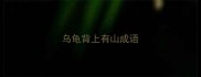 乌龟背上有山成语