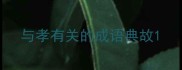 与孝有关的成语典故