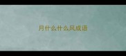 月什么什么风成语