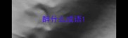 醉什么成语