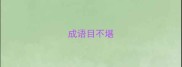 成语目不堪