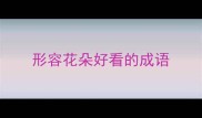 形容花朵好看的成语