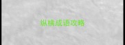 纵横成语攻略