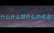 什么什么银什么的成语