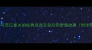 30个与苦瓜相关的经典成语及背后的智慧故事附详细
