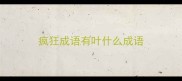 疯狂成语有叶什么成语