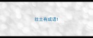 壮土有成语