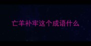 亡羊补牢这个成语什么