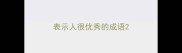 表示人很优秀的成语