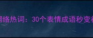 高频使用场景网络热词30个表情成语秒变社交达人必备指南