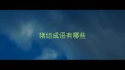 猪组成语有哪些