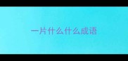 一片什么什么成语
