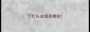 丁打头成语有哪些