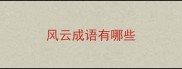 风云成语有哪些