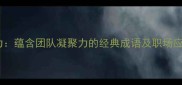 齐心协力蕴含团队凝聚力的经典成语及职场应用指南