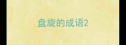 盘旋的成语