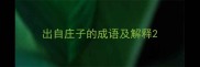 出自庄子的成语及解释