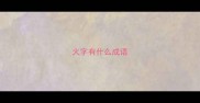 火字有什么成语