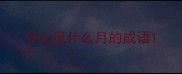 什么风什么月的成语