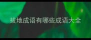 拔地成语有哪些成语大全