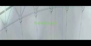 形容等级的成语