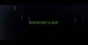 成语鸡叫狗什么成语