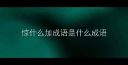 惊什么加成语是什么成语