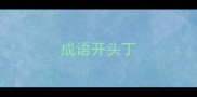 成语开头丁