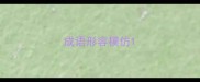 成语形容模仿