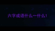 六字成语什么一什么