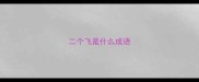 二个飞是什么成语