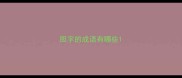 胆字的成语有哪些