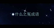 什么之冤成语