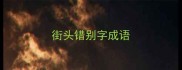 街头错别字成语