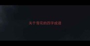 关于雪花的四字成语
