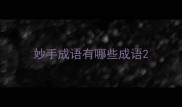 妙手成语有哪些成语