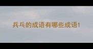 兵乓的成语有哪些成语