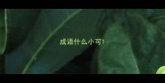 成语什么小可