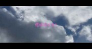遗成语大全