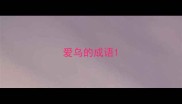 爱乌的成语