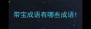 带宝成语有哪些成语